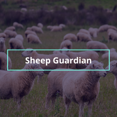 Sheep Tracker and Activity Monitor