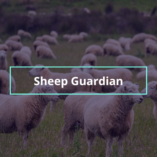 Sheep Tracker and Activity Monitor