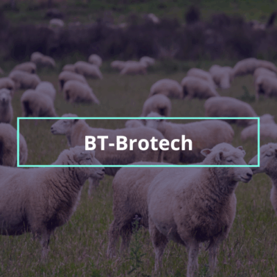 Sheep Tracker and Activity Monitor