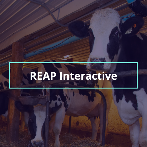 Pilot AI Demonstrator for Livestock Management